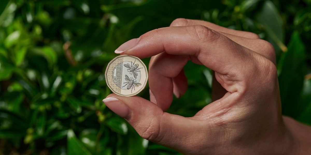 British Bees &pound;1 Coin