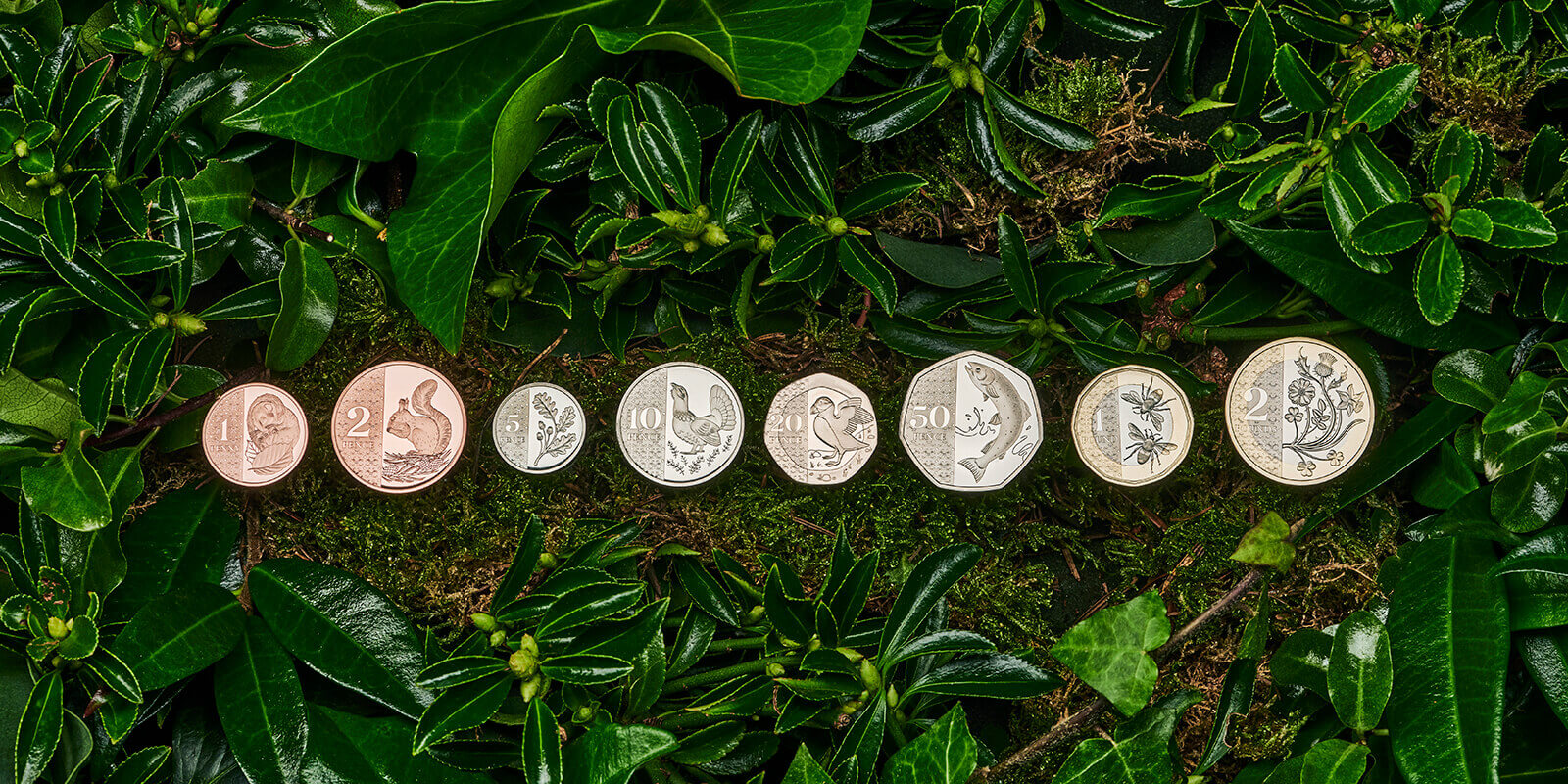 New coins of Charles III on a background of leaves