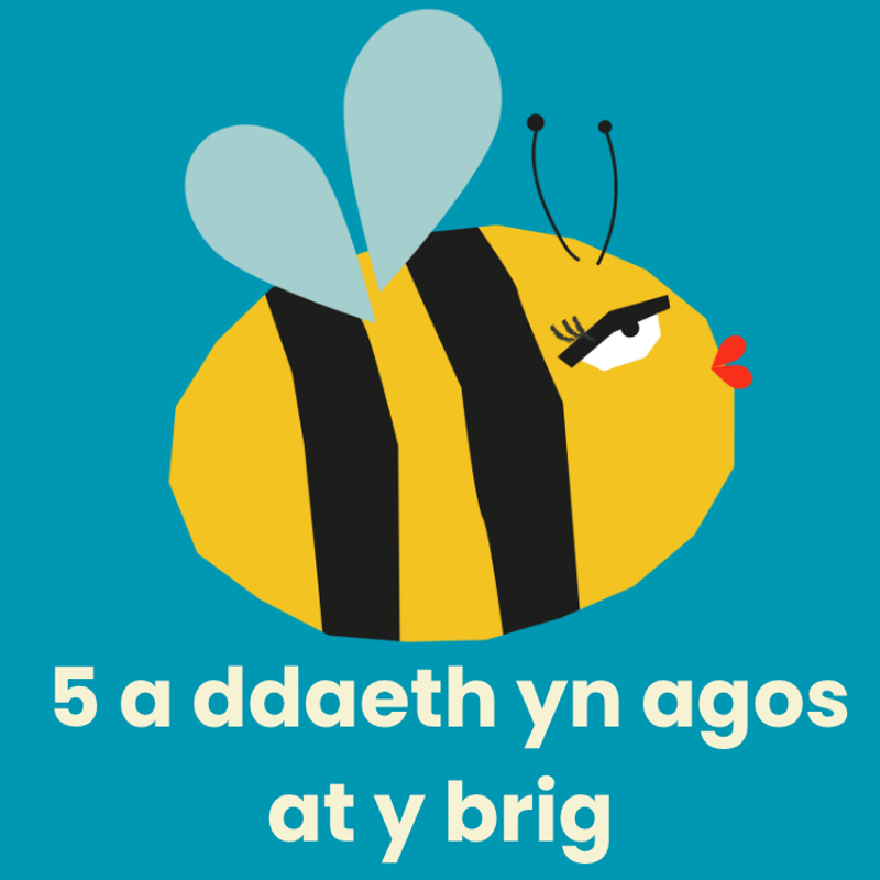 5 a ddaeth yn agos at y brig